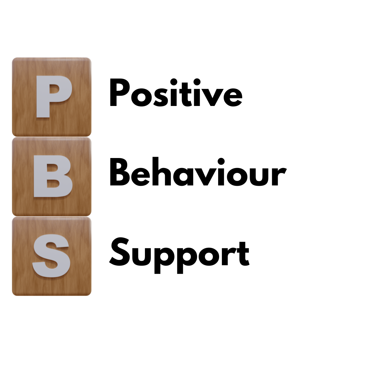 Positive Behaviour Support in Social Care